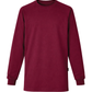 Forge Fr Men's Eagle print Burgundy Long Sleeve T-shirt